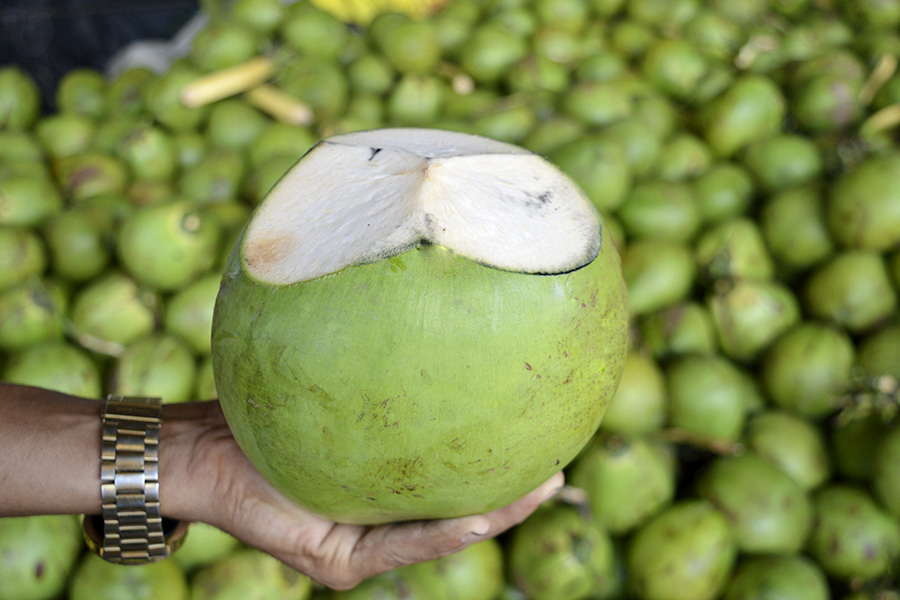 Com produto em safra, água de coco vira alternativa de hidratação em academias e parques