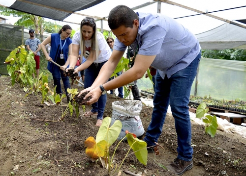 Ceasa fornece Adubo Sustentável para produtores e promove encontro em Gravatá 